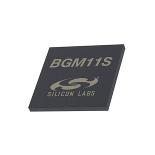 BGM11S22F256GA-V2R Image