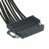 SFSS-10-28-G-10.00-SR